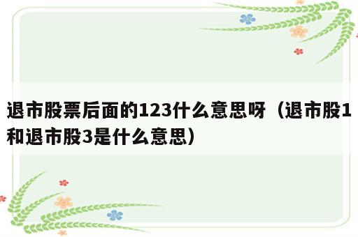 退市股票后面的123什么意思呀（退市股1和退市股3是什么意思）