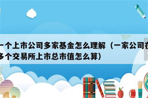 一个上市公司多家基金怎么理解（一家公司在多个交易所上市总市值怎么算）