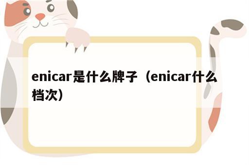 enicar是什么牌子（enicar什么档次）