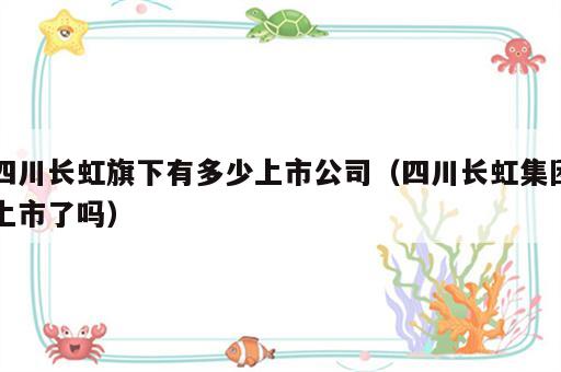 四川长虹旗下有多少上市公司（四川长虹集团上市了吗）