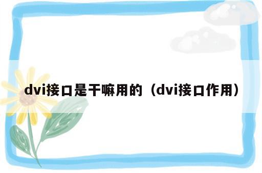 dvi接口是干嘛用的（dvi接口作用）