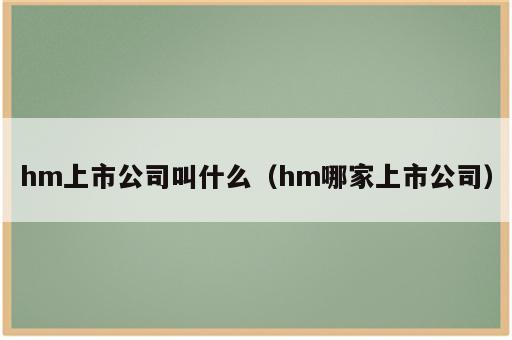 hm上市公司叫什么（hm哪家上市公司）