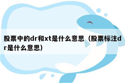 股票中的dr和xt是什么意思（股票标注dr是什么意思）