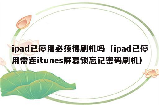 ipad已停用必须得刷机吗（ipad已停用需连itunes屏幕锁忘记密码刷机）