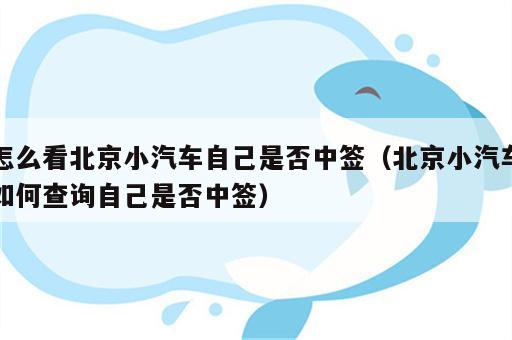 怎么看北京小汽车自己是否中签（北京小汽车如何查询自己是否中签）