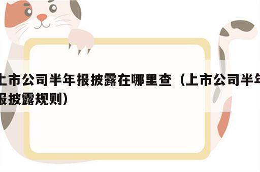 上市公司半年报披露在哪里查（上市公司半年报披露规则）