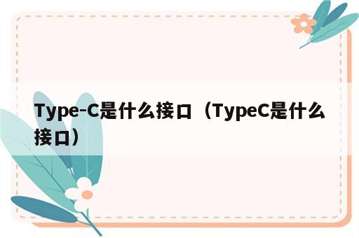 Type-C是什么接口（TypeC是什么接口）