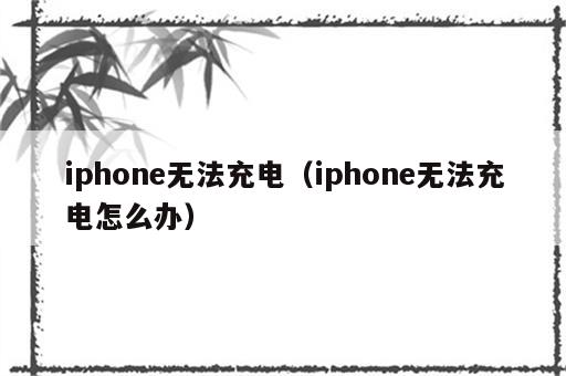 iphone无法充电（iphone无法充电怎么办）