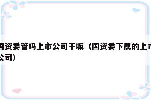 国资委管吗上市公司干嘛（国资委下属的上市公司）