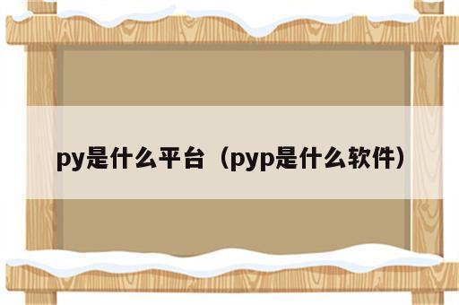 py是什么平台（pyp是什么软件）