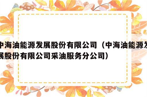 中海油能源发展股份有限公司（中海油能源发展股份有限公司采油服务分公司）