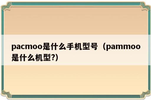 pacmoo是什么手机型号（pammoo是什么机型?）