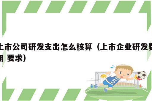 上市公司研发支出怎么核算（上市企业研发费用 要求）