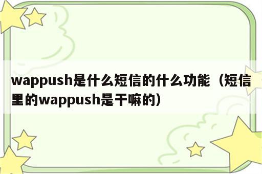 wappush是什么短信的什么功能（短信里的wappush是干嘛的）