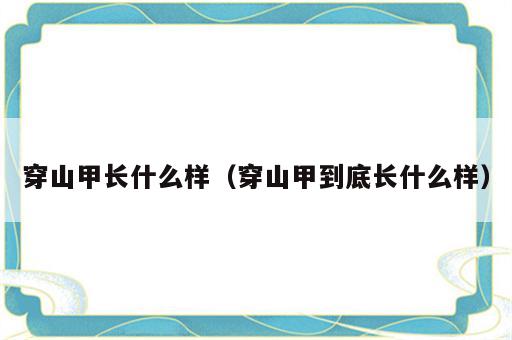 穿山甲长什么样（穿山甲到底长什么样）