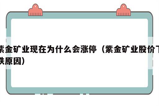 紫金矿业现在为什么会涨停（紫金矿业股价下跌原因）