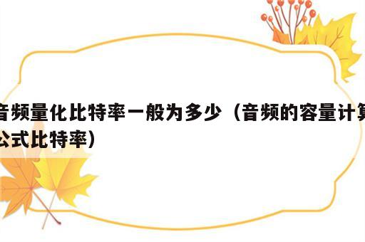 音频量化比特率一般为多少（音频的容量计算公式比特率）