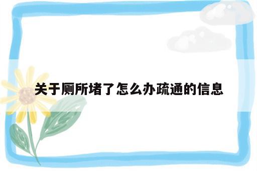 关于厕所堵了怎么办疏通的信息