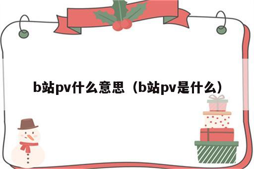 b站pv什么意思（b站pv是什么）