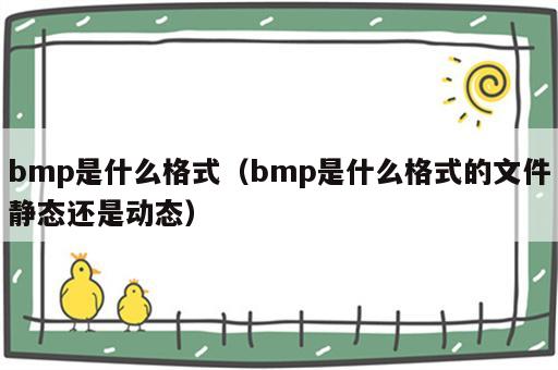 bmp是什么格式（bmp是什么格式的文件静态还是动态）