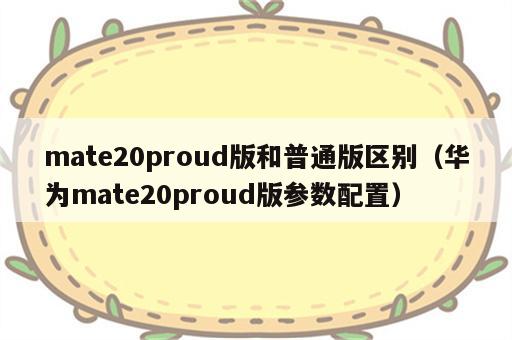 mate20proud版和普通版区别（华为mate20proud版参数配置）