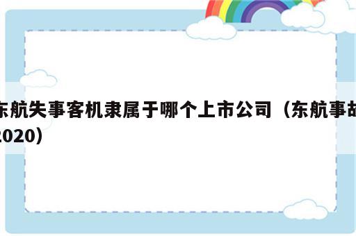 东航失事客机隶属于哪个上市公司（东航事故2020）