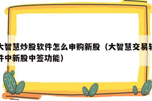 大智慧炒股软件怎么申购新股（大智慧交易软件中新股中签功能）