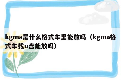 kgma是什么格式车里能放吗（kgma格式车载u盘能放吗）