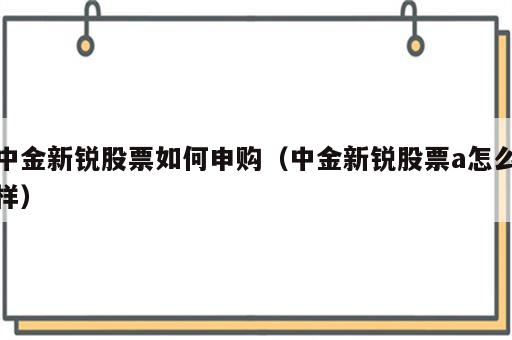 中金新锐股票如何申购（中金新锐股票a怎么样）