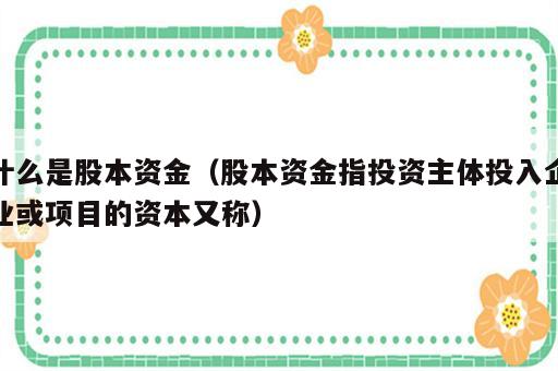 什么是股本资金（股本资金指投资主体投入企业或项目的资本又称）