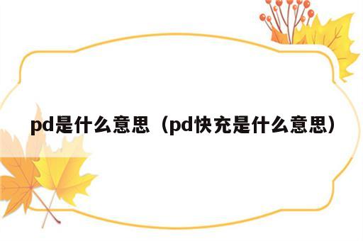 pd是什么意思（pd快充是什么意思）