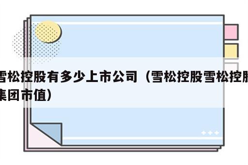 雪松控股有多少上市公司（雪松控股雪松控股集团市值）