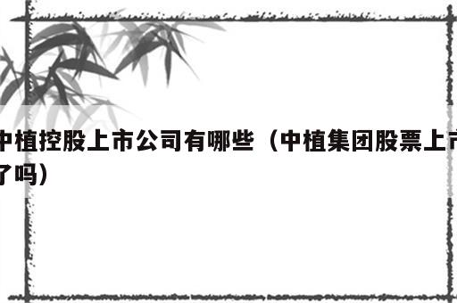 中植控股上市公司有哪些（中植集团股票上市了吗）