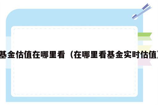 基金估值在哪里看（在哪里看基金实时估值）