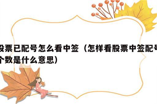 股票已配号怎么看中签（怎样看股票中签配号个数是什么意思）