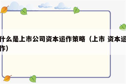 什么是上市公司资本运作策略（上市 资本运作）