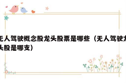 无人驾驶概念股龙头股票是哪些（无人驾驶龙头股是哪支）