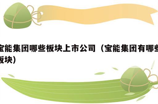 宝能集团哪些板块上市公司（宝能集团有哪些板块）